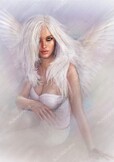 Angel0701