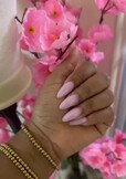 Honey_dommie